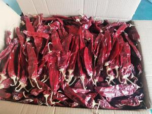 Wholesale Add Some Heat to Your Dishes with Dried Chilli Pods 500SHU 20-25cm from china suppliers
