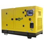 24V DC Electric Start System 250KW Natural Gas Generator Silent Type for 24/7