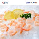 Energy Saving Quick Tunnel Freezer Fish Freezing Equipment For Cooling Fish