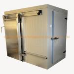 Freon Refrigerant Commercial Cool/Cold/Freezer Room for Blood Storage