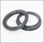 AQ8143P CASSETTE/WHEEL OIL SEAL Seal For Kubota Excavator