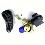 Solenoid CNG Cylinder Valve Car Gas Valve DC12V For Auto Gas Fuel System