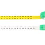 Wintape Plastic Animal Husbandry Measuring Tool Durable Cattle Measuring Band