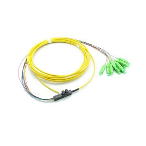 Wholesale G657A2 Fiber Optic Pigtail SC APC 12C Ribbon Fanout Single Mode from china suppliers