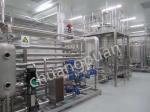 Bubble Wash Tomato Paste Production Line Stainless Steel