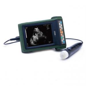 China B Mode Veterinary Ultrasound Scanner Sow Pregnancy Testing on sale