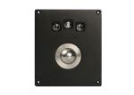 Industrial Kiosk Trackball Pointing Devicel Mouse 25mm 400DPI IP65 USB PS/2