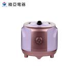 Travel Vertical Garment Steamer , Flat Pole Wrinkle Remover Clothes Steamer