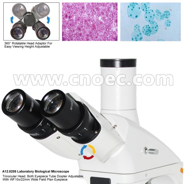 1000x Compound Optical Microscope A12.0205 Trinocular Led Light Source