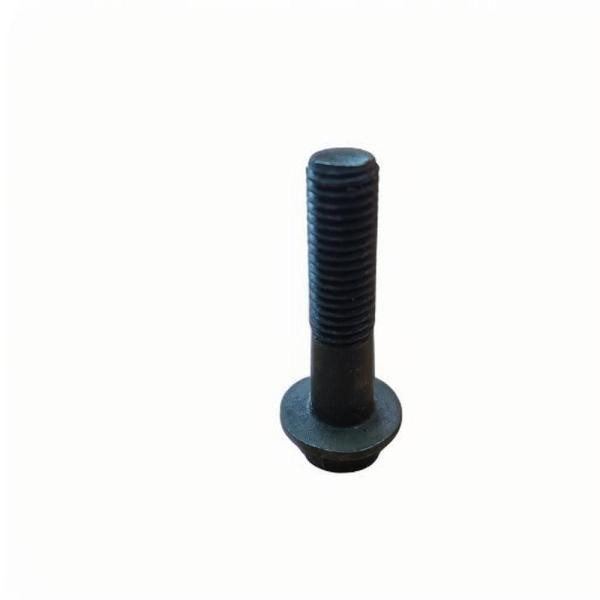 Polish Finish NPT Thread Type Stainless Steel Fastener for Industrial Needs and