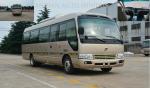 Luxury Coaster Minibus Sightseeing City Tour Bus 15 Seat Passenger Van