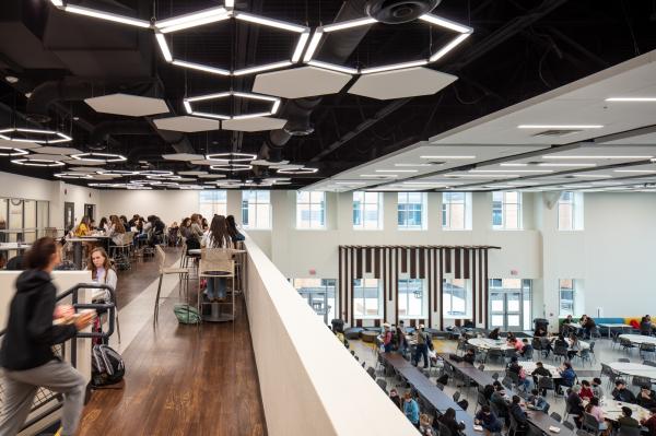 RAL Black Ceiling Baffles Wood Wool Cement Acoustic Panels Sound Absorption