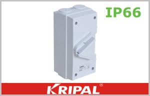 Wholesale UKF1 series IP66 Double Pole Electrical Weatherproof Switch Socket Outlet 63A For Outdoor Isolation from china suppliers
