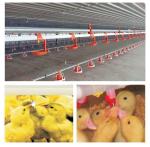 180 Degree Ball Valve Chicken Nipple Drinkers Poultry Drinkers For Animal &
