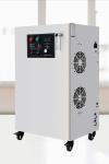 100G 200G 300G Large Water Ozone Generator For Water Treatment