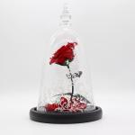 Dried Beauty And The Beast Red Rose In Glass Gift Suitable For Decor Purposes