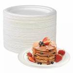 BPA Free Compostable 9 Inch Heavy-Duty 125-Pack Disposable Round Bagasse Pulp