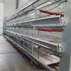 Wholesale 3 Tiers H Type Layer Chicken Cage For Broiler Farm Cold Galvanized from china suppliers