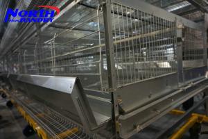 Wholesale Cheap price hot sale algeria chicken farm layer poultry cages from china suppliers