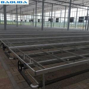 Wholesale Movable Greenhouse Rolling Benches Breeding Nursery Seedling Size Customized from china suppliers