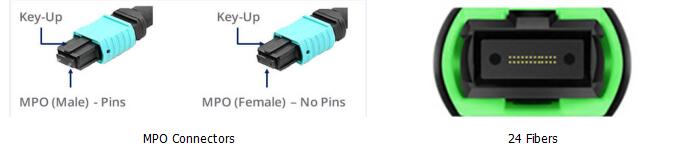24 Fibers MPO to LC Singlemode Fiber Optic MPO-LC 2.0mm Straight harness Cables