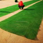 3D Erosion Control Mat Geomat for Slope Protection in Road Construction