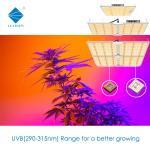 Photosensitive 3W 3535 UVB LED Chips 320nm 315nm 306nm 340nm For Curing And