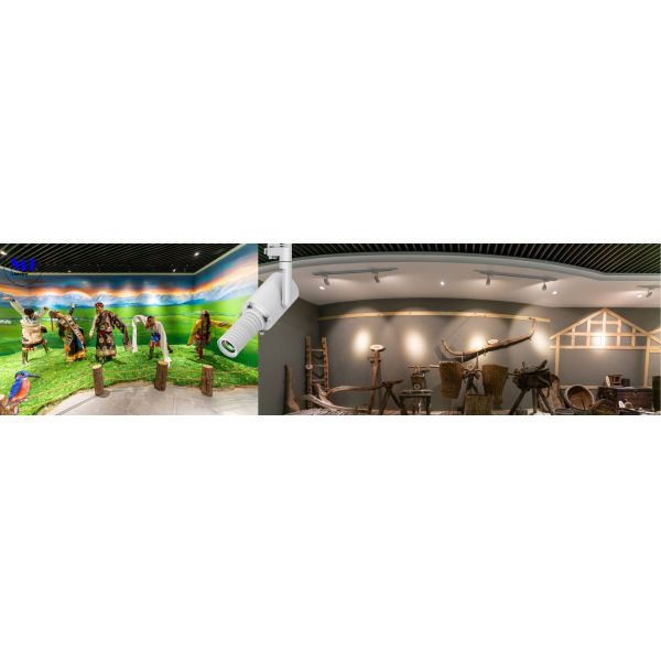 Factory Price Spot Shape Smart Control LED Shapeable Track Light for Human Projection Cultural Exhibitions Logo Icon Projection