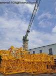 QTZ100 Topless Tower Crane 198ft Boom PT6013 Model Cheaper Factory Cost
