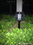 IP65 Solar LED Lawn Lights / 3w Solar Powered Yard Light 3000 - 6000k