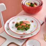 Savall 12 Piece Round Dinnerware Set FDA Ceramic Plates And Bowls