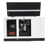 10kw15kw Natural Gas 1phase Propane Butane Mixture LPG Gas Generator for Your
