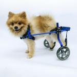 Blue Hind Leg Pet Dog Wheelchair With Mute PU Wheels Lightweight