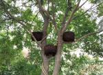 LED Simulation Bird'S Nest Lights Tree Shoot Outdoor Spot Light Waterproof Bird