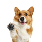 Pets Anti-Dirty Shoes Dogs Anti-slip Silicon Dog Pet Paw Protector Sole Anti