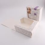 Custom Display Carton Printing Paper Packaging Box For Facial Mask