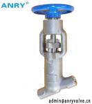 2 Inch Forged Steel Y Type Stellite Overlay Disc SW BW NPT Globe Valve