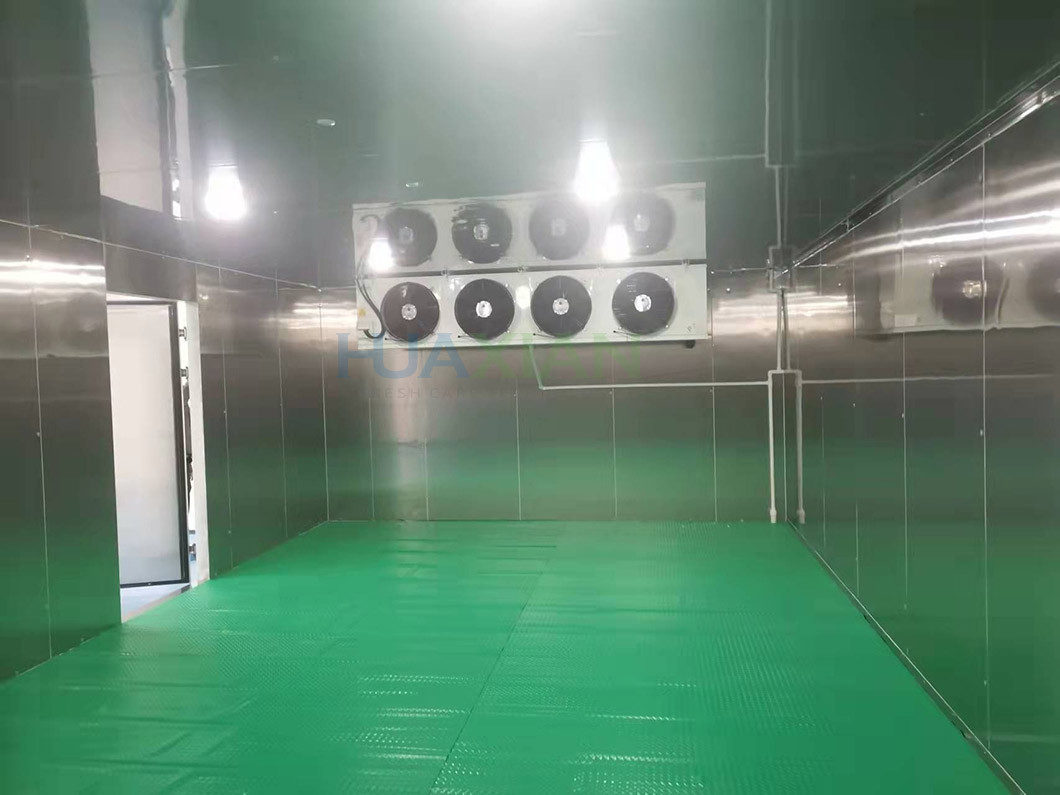 100 Square Meter Cold Storage Room -18­°C Stainless Steel Frozen Meat Freezer Room