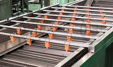 Fruit and vegetable washing and drying machine with high quality