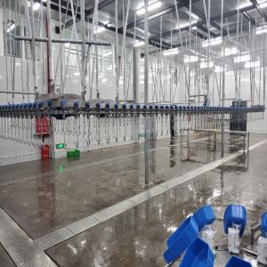 Wholesale 500 Bph Chicken Poultry Processing Plant Stainless Steel Chicken Plucker Machine from china suppliers