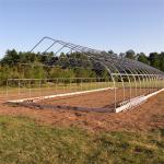 300 Square Meter Tunnel Plastic White Single Span Greenhouse For Strawberry