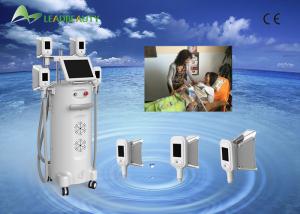 Wholesale LED Light Professional 4 handpiece cryolipolysis fat freezing / cryolipolysis slimming machine from china suppliers