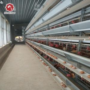 Wholesale Automatic Laying Hen Battery Chicken Cages System Egg Layer H Type 192 Birds from china suppliers