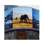High Brightness P10 Outdoor LED Display Commercial HD Giant LED Screen
