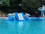 Commercial 0.9mm PVC Tarpaulin Inflatable Big Air Slide Dolphin Toy For Water
