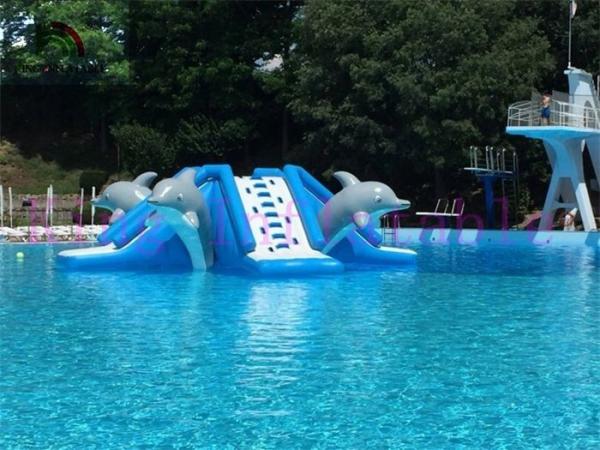 Commercial 0.9mm PVC Tarpaulin Inflatable Big Air Slide Dolphin Toy For Water