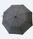 Metal Compact Umbrella 20.5Inches 8Ribs 2 Folding With Auto Open Mini Umbrella
