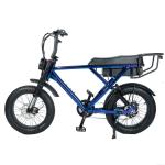 48V 20 Ah Fat Tyre Electric Bike for Customized Blue Beach Bikes Cruisers