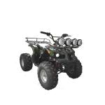 Battery Powered Beach Buggy Fairground For Driving / 1-2 Player Beach Vehicle