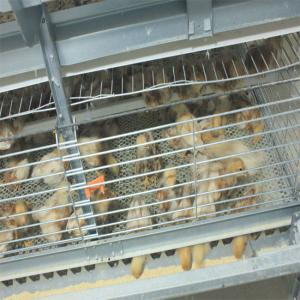 Wholesale 260 Birds Hunsbandry 6 Tiers ZnAl Poultry Cage For Broiler from china suppliers